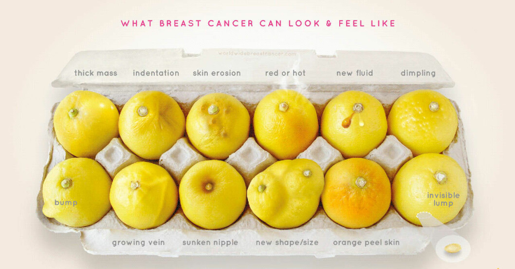 Här är bilden som ska hjälpa kvinnor att upptäcka bröstcancer