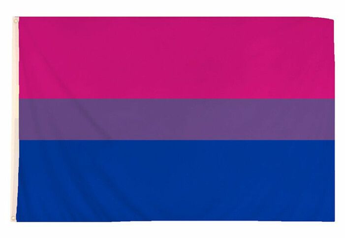 flagga bisexuell