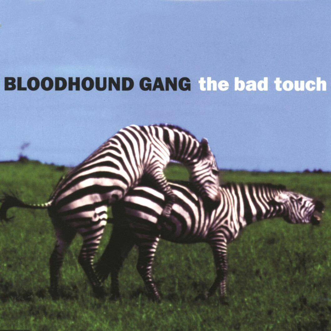 Bloodhound Gangs The Bad Touch.