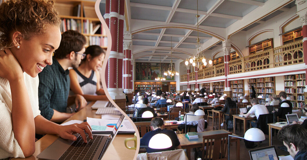 Mer pengar, mer ledigt, mer fest – 8 överlevnadstips för att glida genom universitetet