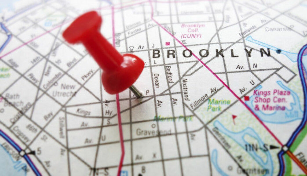Bushwick baby!