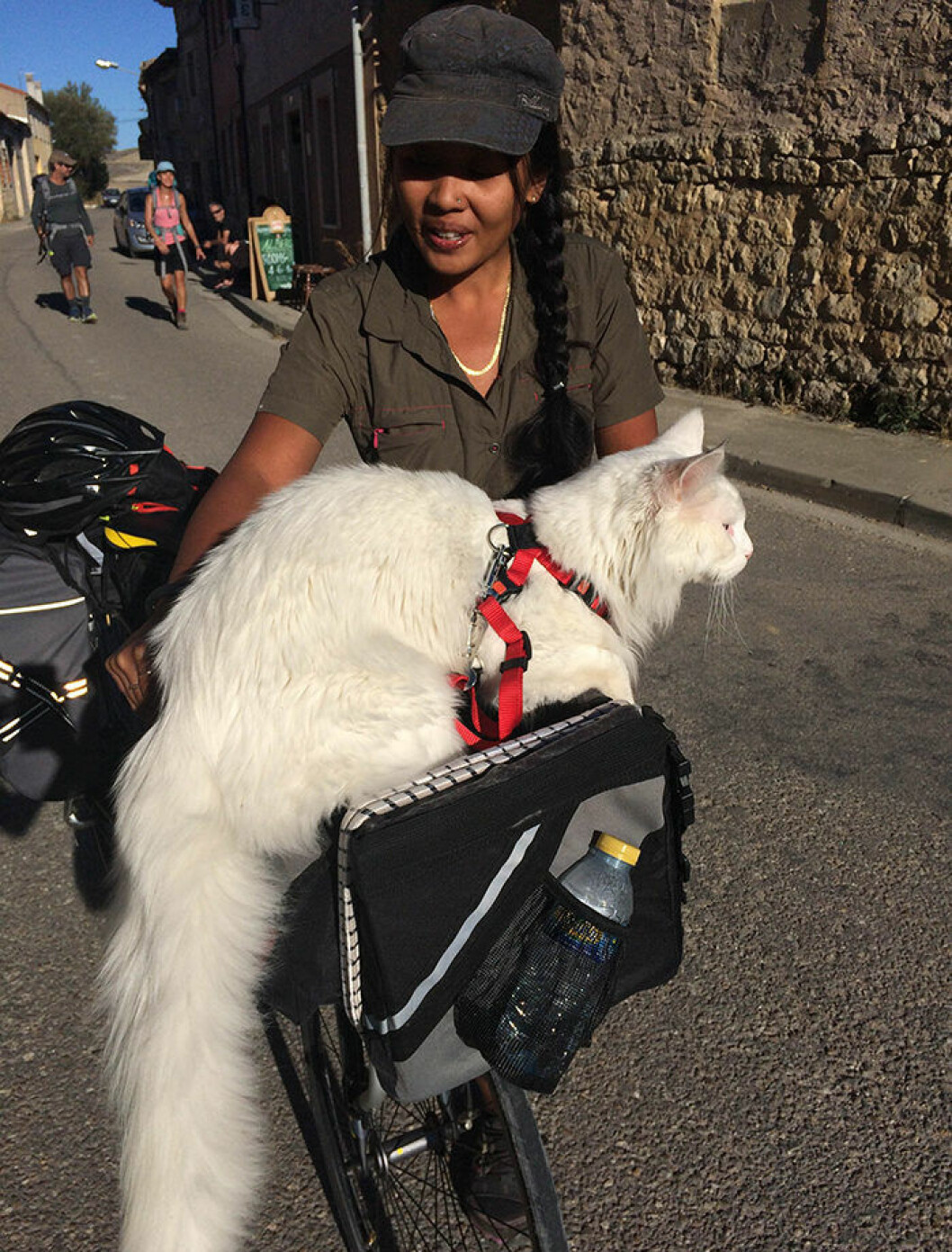 Carla Hagberg och katten Cezar reser tillsammans