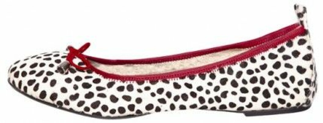 Cocorose-London-Canonbury-dalmatian-3