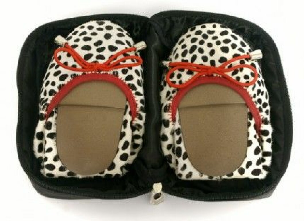 Cocorose-London-Canonbury-dalmatian-2