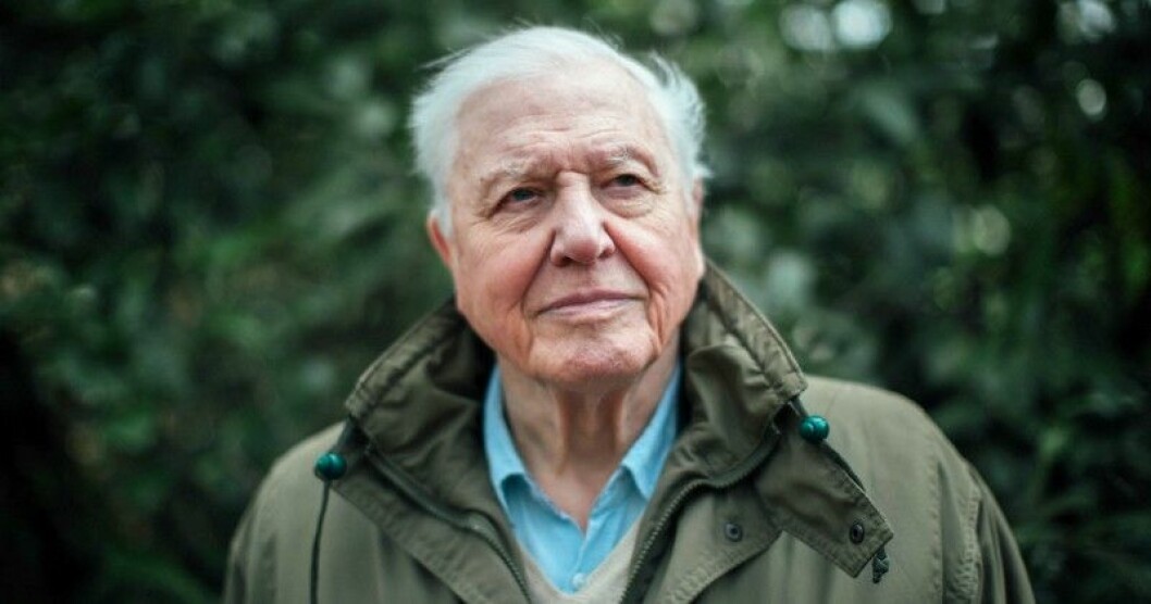 I ”David Attenborough: Klimatkrisen” presenteras sakligt klimatkrisens alla hot – och möjliga lösningar. ”David Attenborough: Klimatkrisen” visades på SVT.