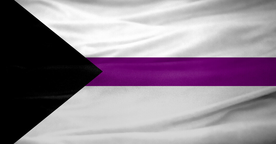 Demisexuell pride-flaggan