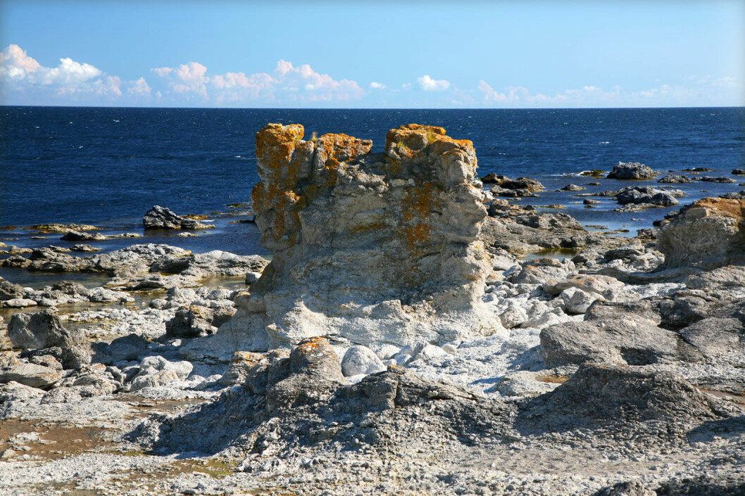 Foto: Johan Bjurer/TT Digerhuvud, Gotland