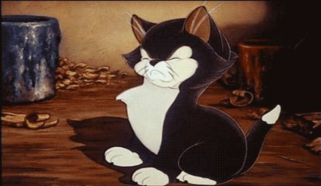 disney