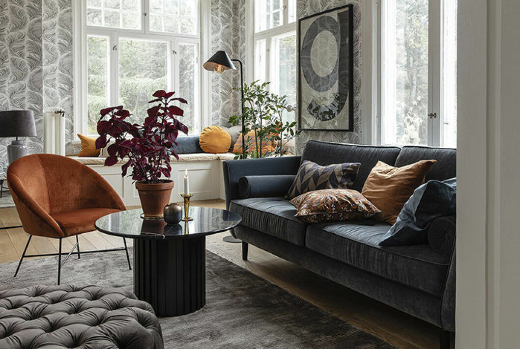 Foto: Ellos Home Sammet i mängder hos Ellos Home