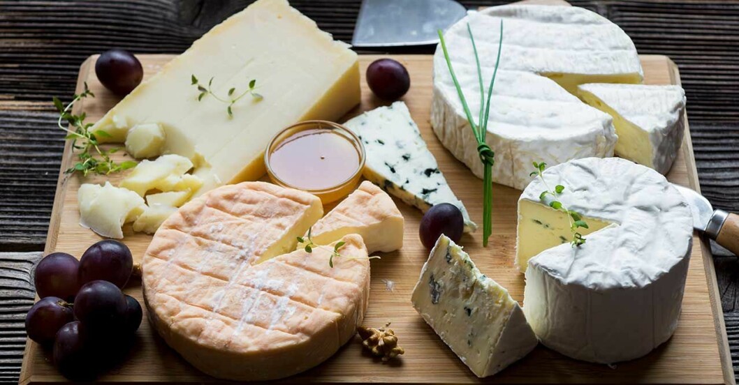 Forskning visar: Fet ost har positiva hälsoeffekter
