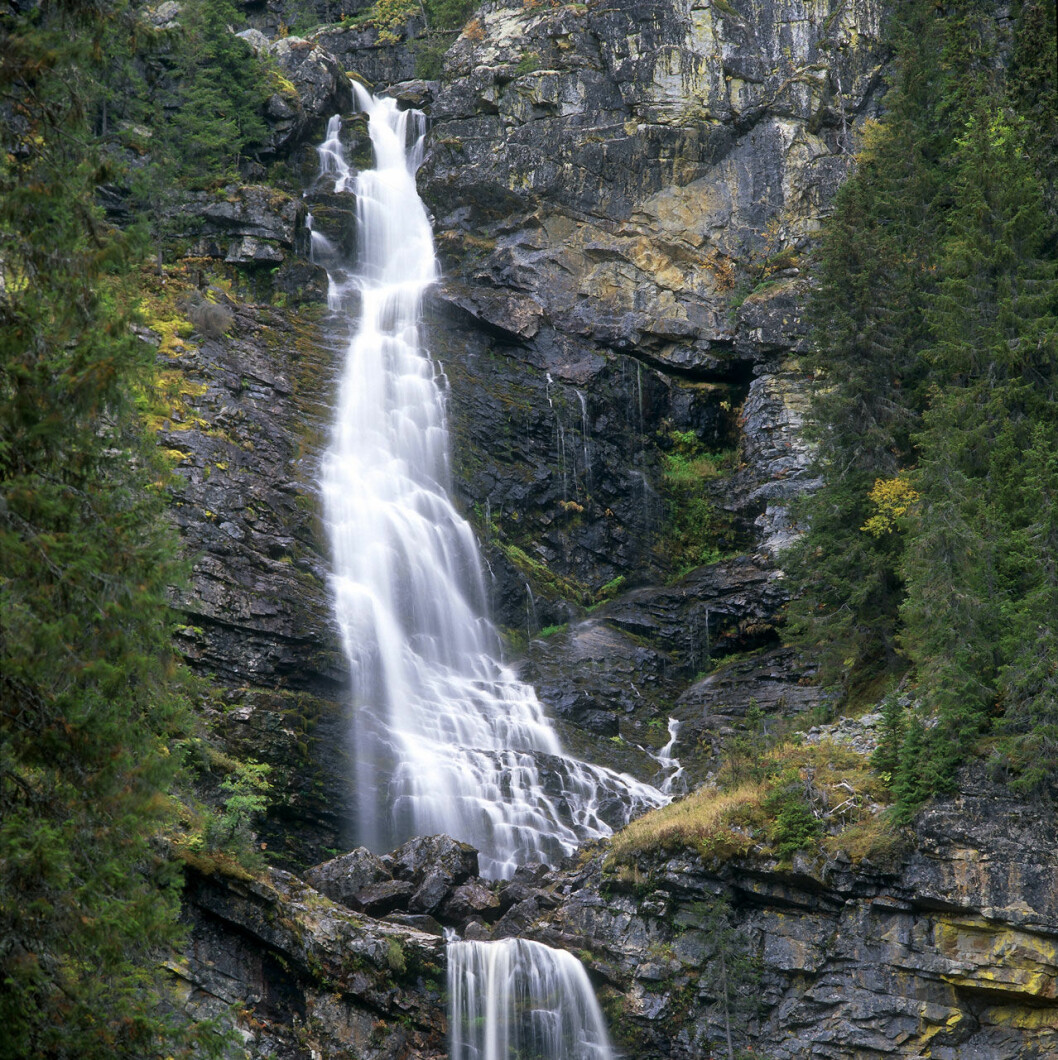 Ett av Sveriges högsta vattenfall, Fettjeåfallet.