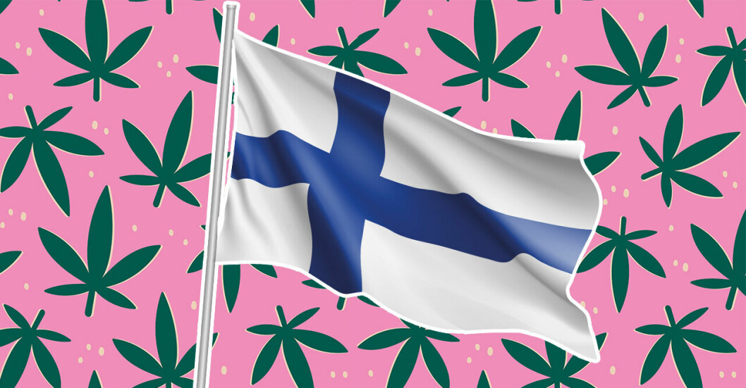 Finlands flagga mot en rosa bakgrund med marijuanablad och cannabis.