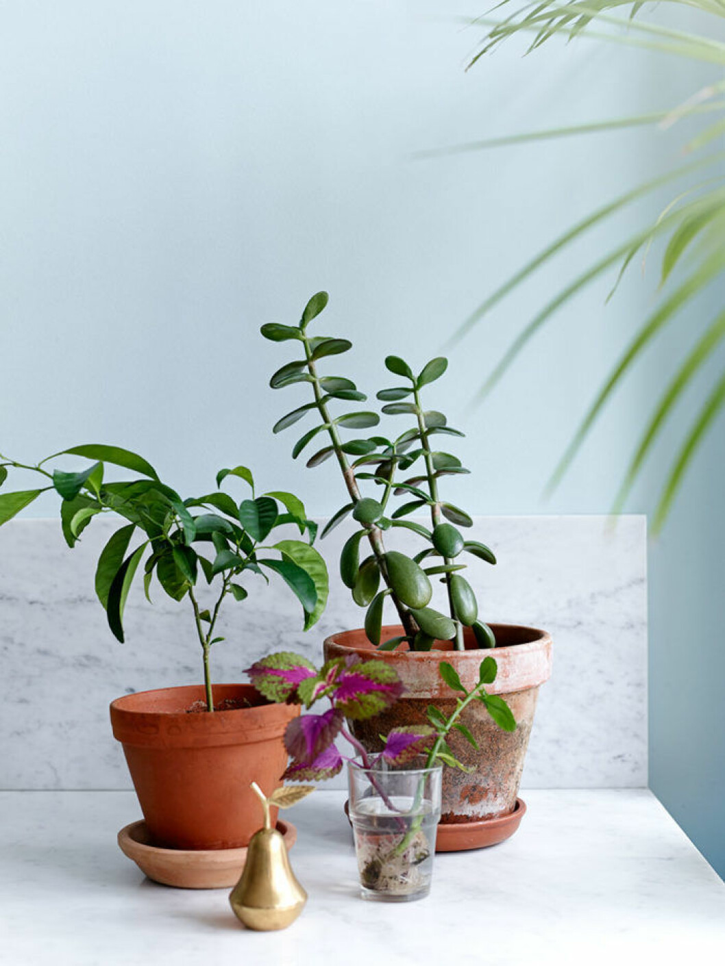 Foto: Idha Lindhag Styling: Tina Hellberg Syns i: <a href="https://www.elledecoration.se/fyra-nyanser-av-blatt-och-ett-drommigt-kok/" target="_blank" rel="noopener">Fyra nyanser av blått och drömmigt kök </a>