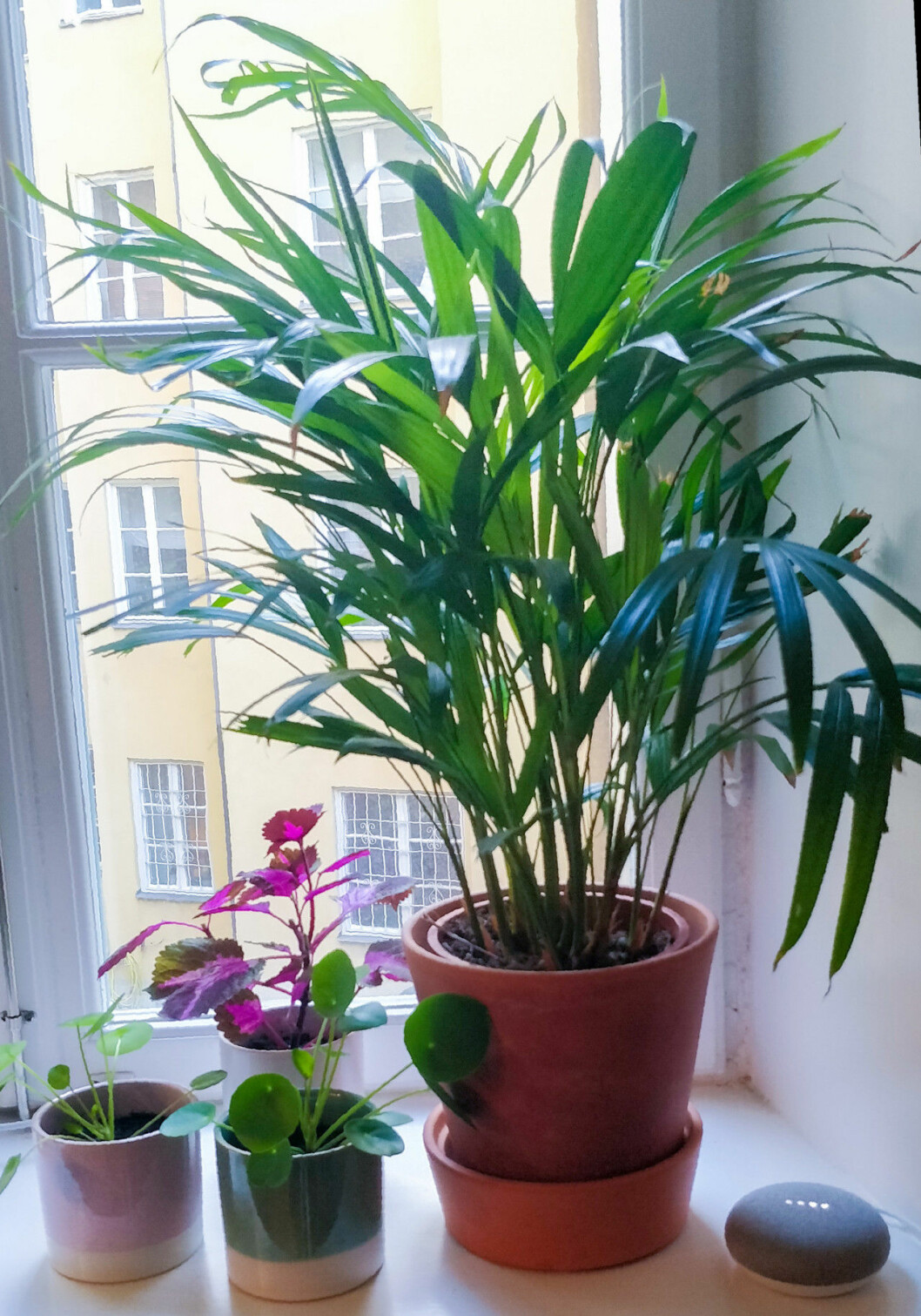 Google Home Mini är diskret och passar in i de flesta hem.