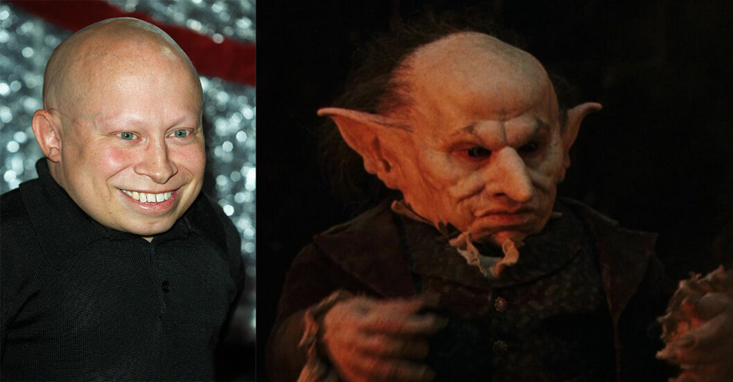 I Warner Bros Harry Potter-museum utanför London finns alla svartalf-maskerna på hyllor, som avhuggna huvuden. En smula groteskt. Verne Troyer som Griphook