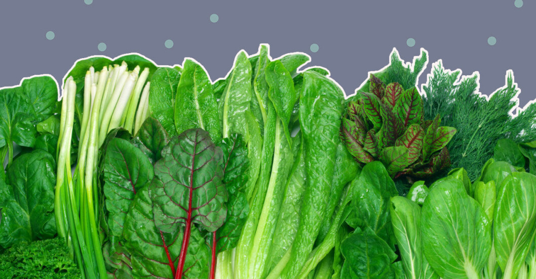 6 gröna bladgrönsaker som faktiskt är nyttigare än grönkål