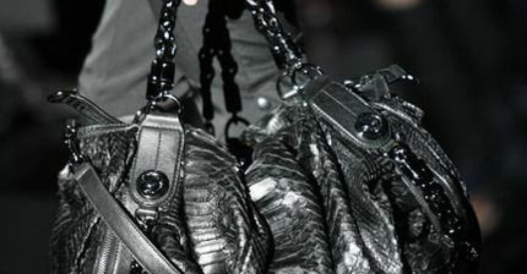 gucci-12161