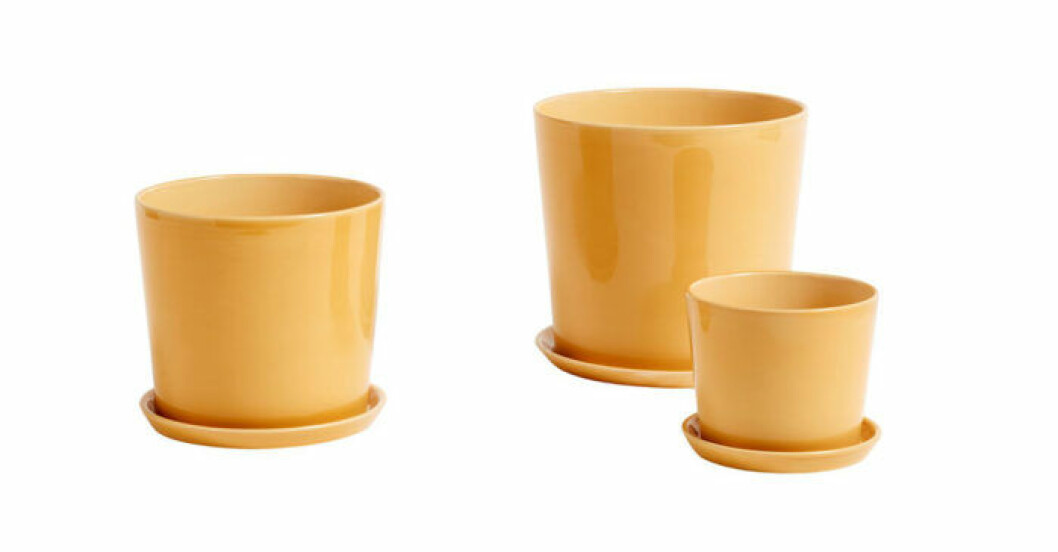 Krukor från Hay i modellen Botanical family och färgen yellow