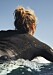 H&M lanserar surfkollektion inför sommaren 2020