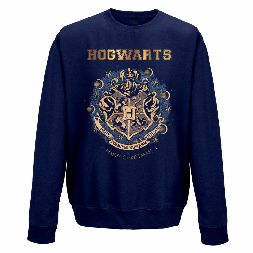 Jultröja från Harry Potter hogwarts