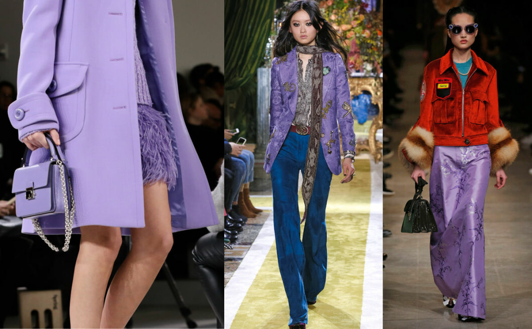 Michael Kors, Miu Miu, Roberto Cavalli höstens trender 2016 lila