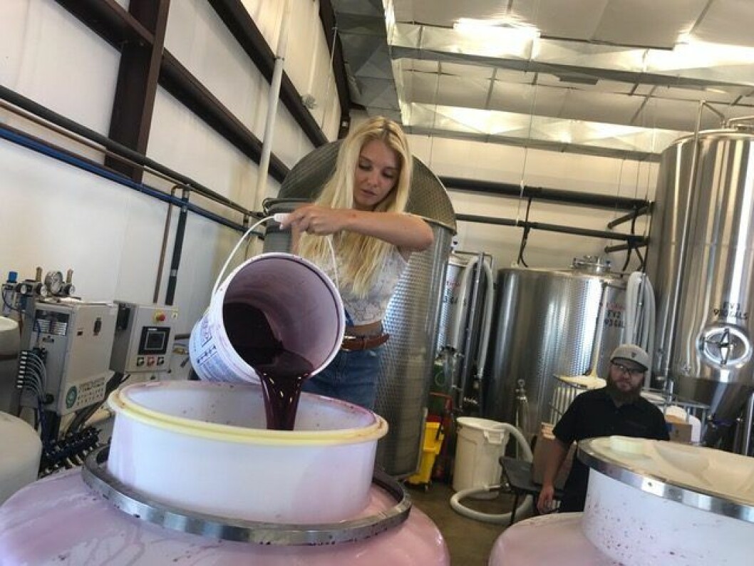 Ölintresset har även fått Sandra att resa. Här besöker hon en av världens bsäta bryggerier –<br> Superstition Meadery i Arizona, USA.