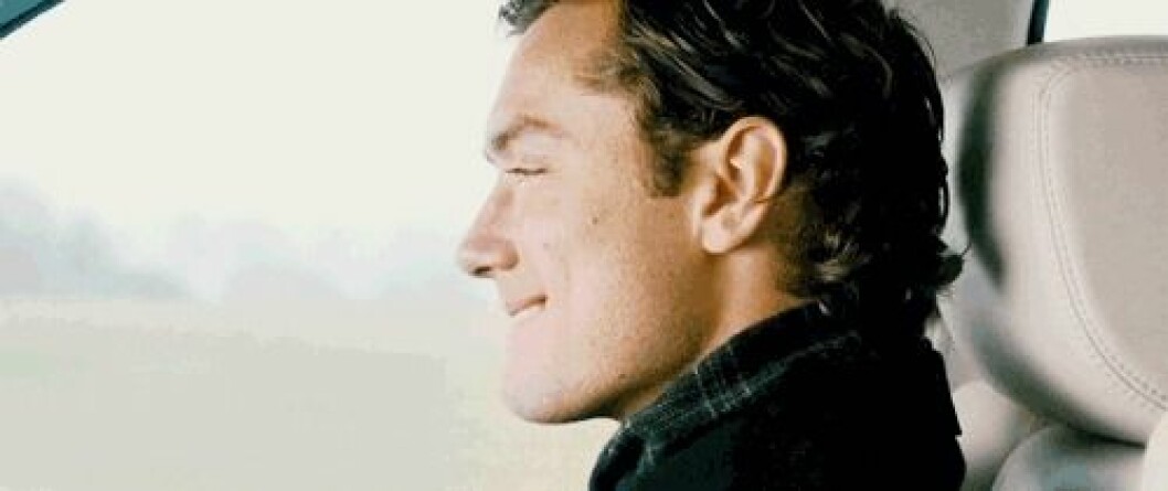 jude law the holiday