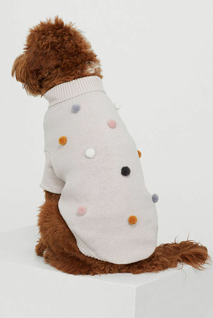 jultroja-hund-h&m