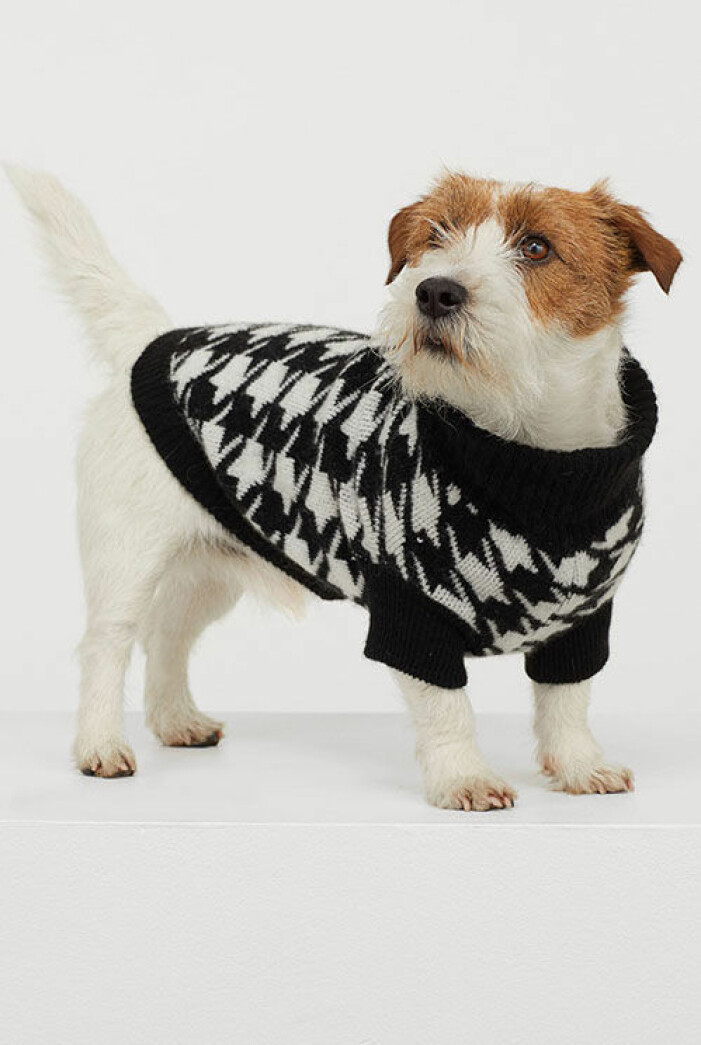jultroja-hund-h&m