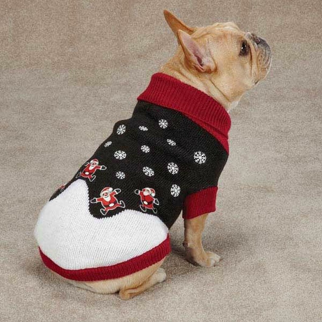 Jultröja till hunden med tomtar och snö på, inför julen 2019