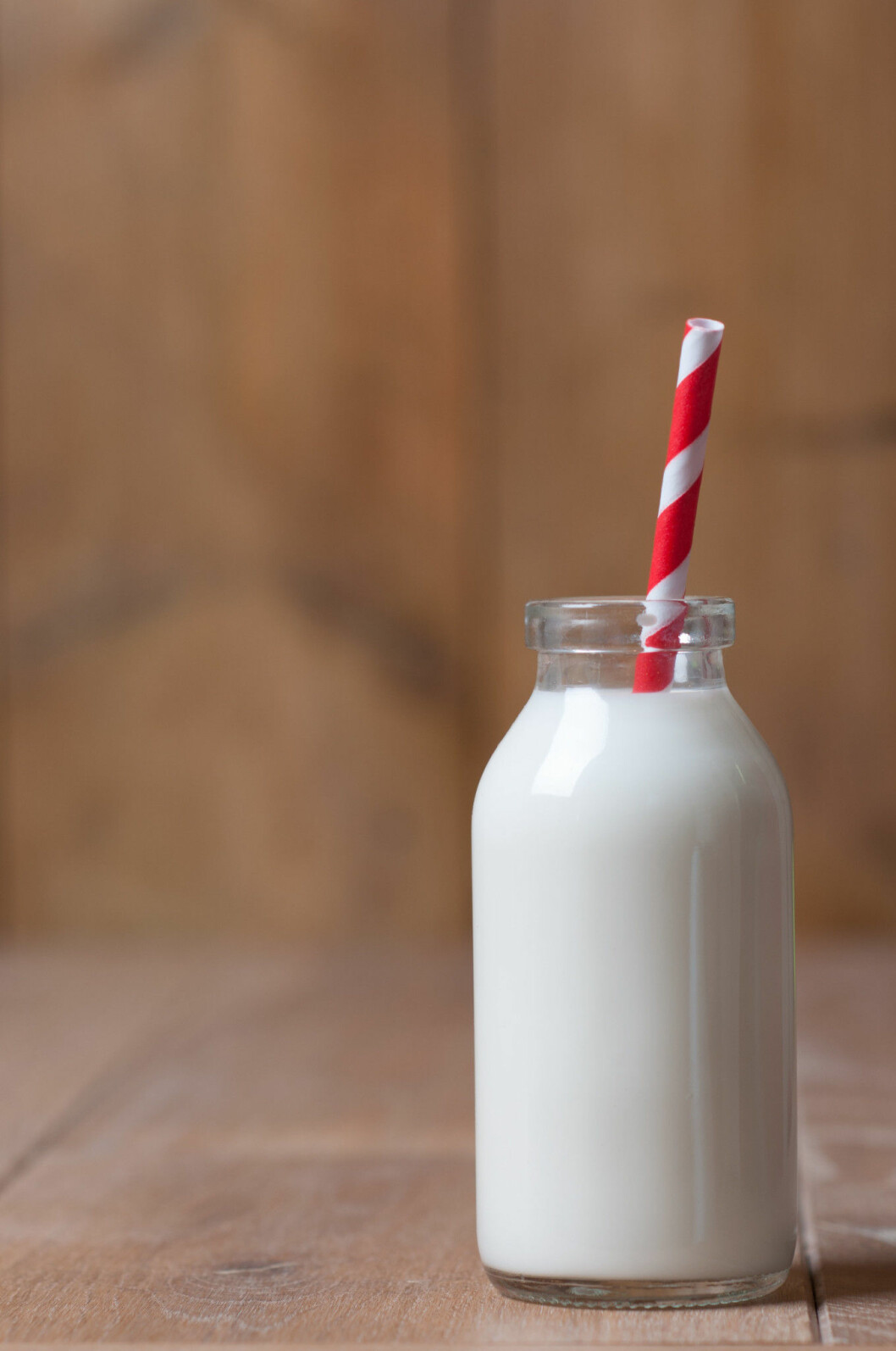 Single bottle of milk with red striped drinking straw in rustic setting