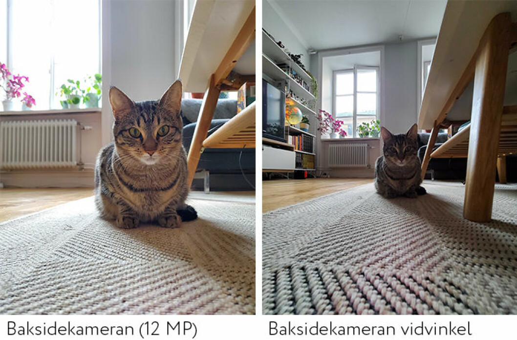 Test av kameran Samsung Galaxy Z Flip  