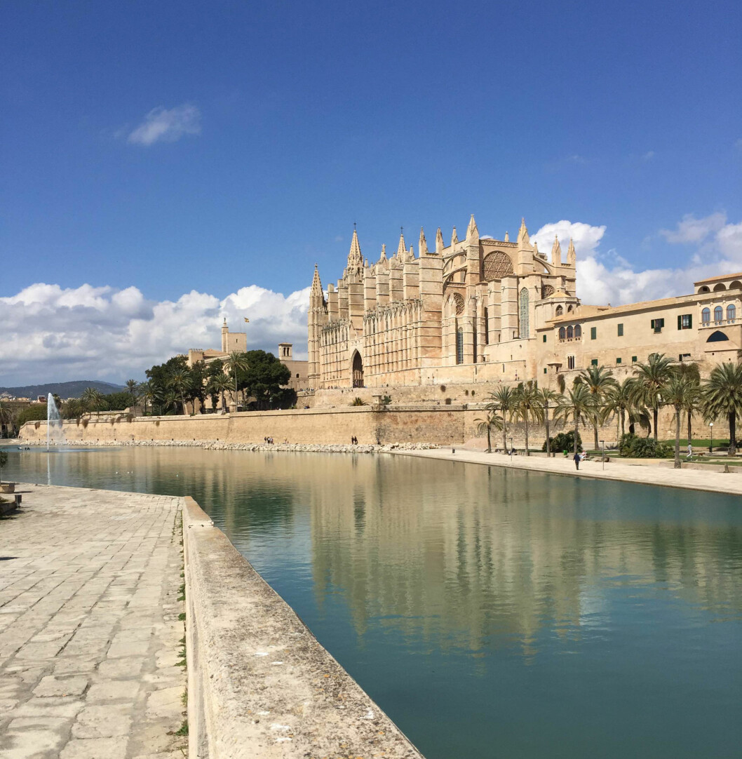 Katedralen i Palma är storslagen. katedralen palma