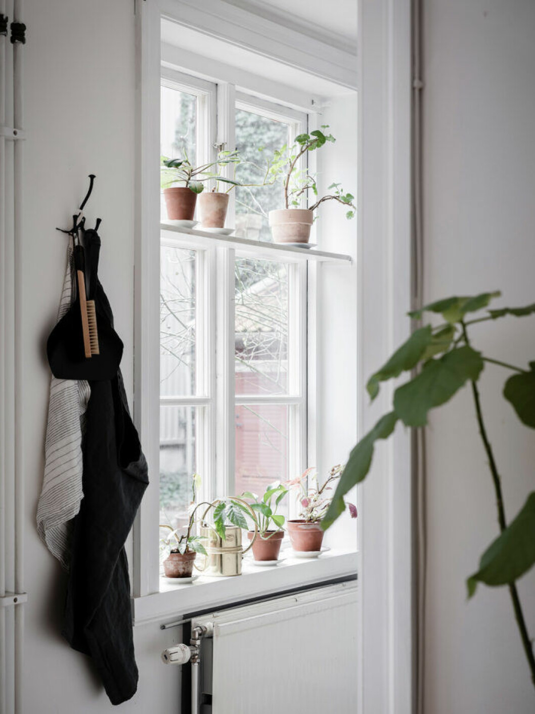 Styling: Nouvel interiör Foto: Anders Bergstedt som fotat för <a href="https://entrancemakleri.se/hem-till-salu/" target="_blank" rel="noopener">Entrance mäkleri/</a>Mäklare: Jessica Fridstedt Inred kattvänligt med växter på fönsterbrädan