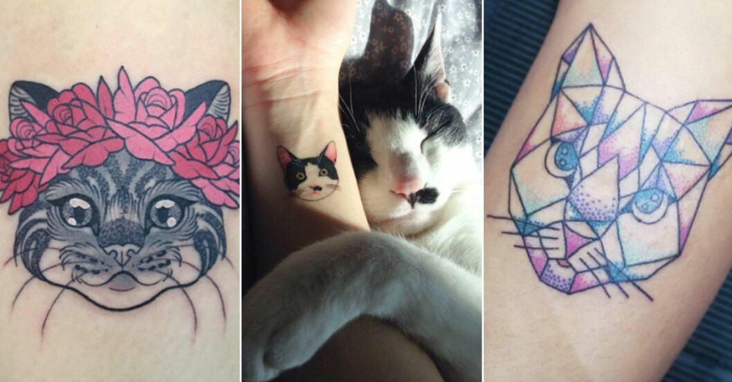 25 tatueringar för dig som älskar katter