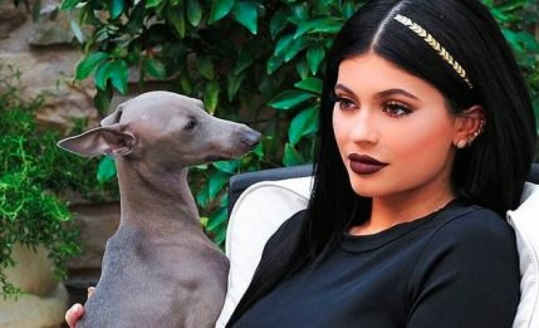 Hårtatueringar kom under 2015. kylie jenner tatuering