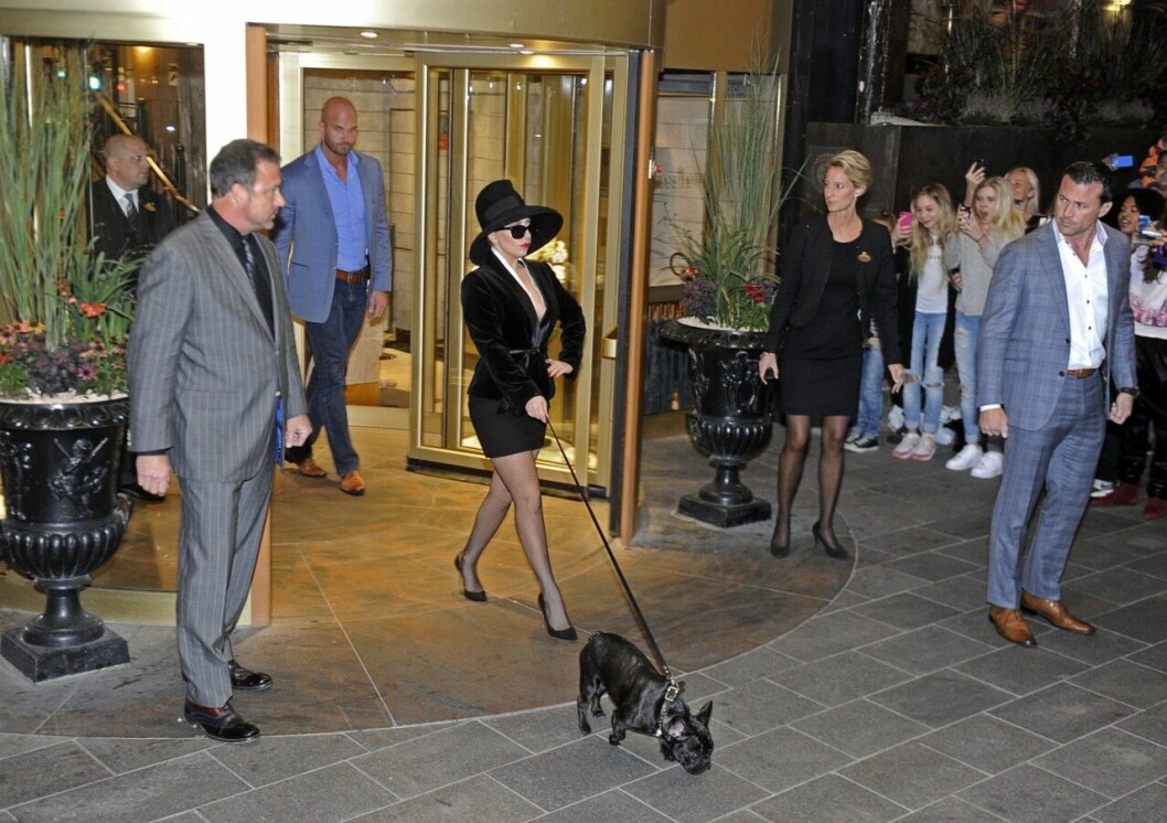 Lady Gaga med sin franska bulldog Asia