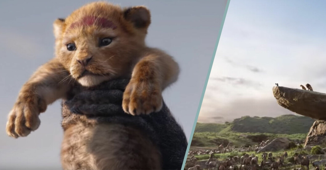 Trailern till nya Lejonkungen är här – och den är fantastisk