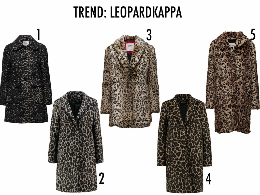 LEOPARDKAPPA