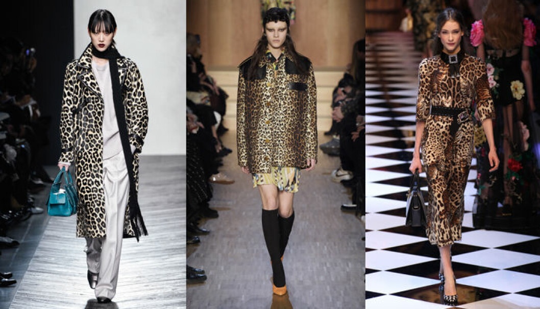 Bottega Veneta, Givenchy, Dolce & Gabbana leopardmönster hösten 2016