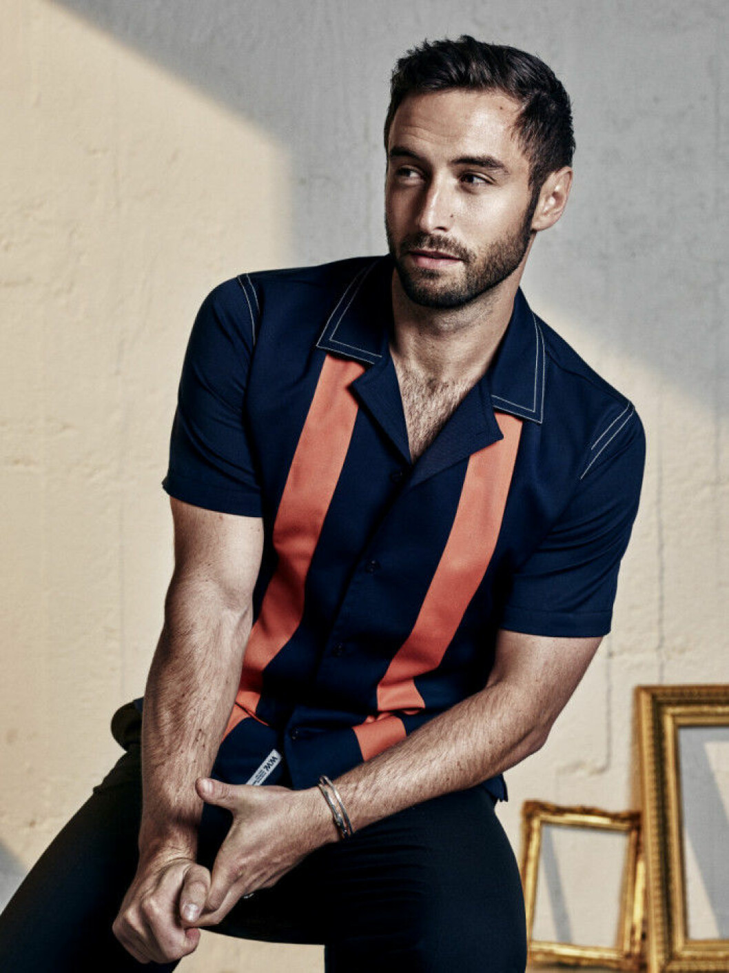 mans-zelmerlow-Chameleon