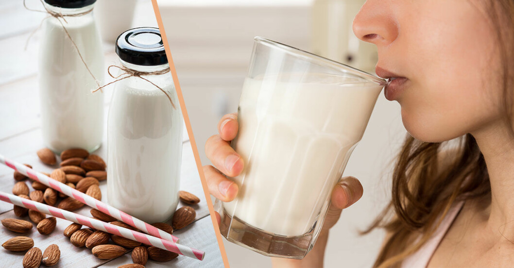 Stor guide: Vilken mjölk passar dig?
