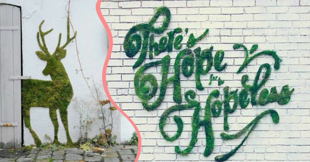 Gör egen graffiti av mossa – 17 bilder som ger inspo