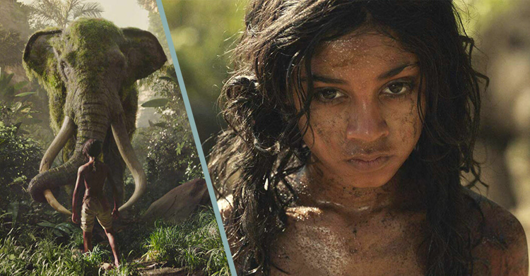Bilder från filmen Mowgli på Netflix.