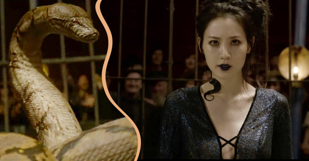 Nagini syns i nya ”Fantastic Beasts” – men det är inte som du tror