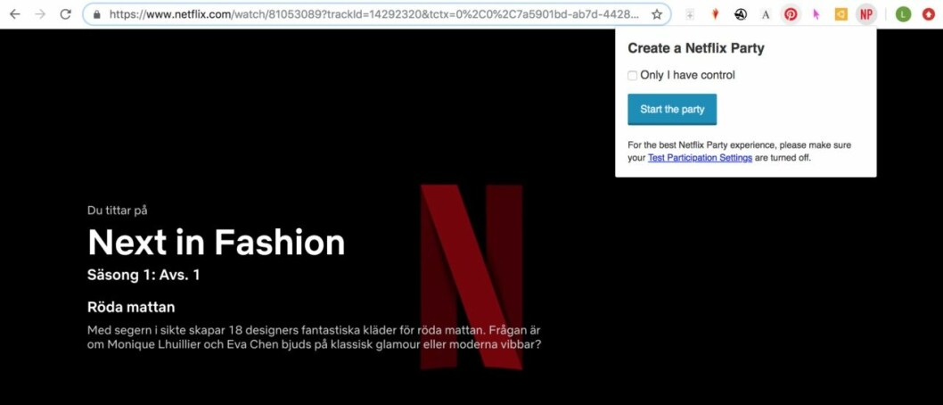 Netflix_party_screen