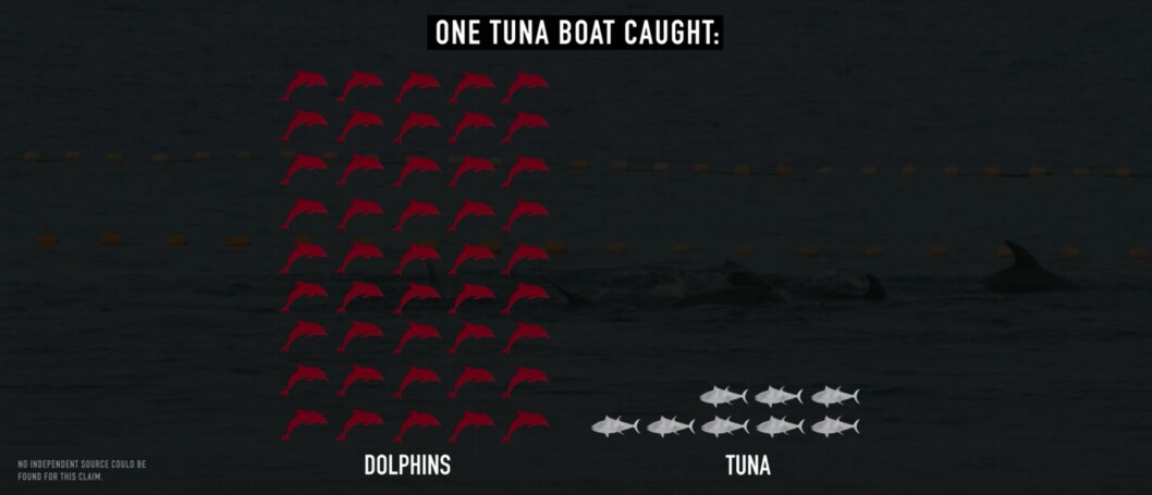 På ett fiskefartyg hade 45 delfiner dödats för att fiska 8 tonfiskar.