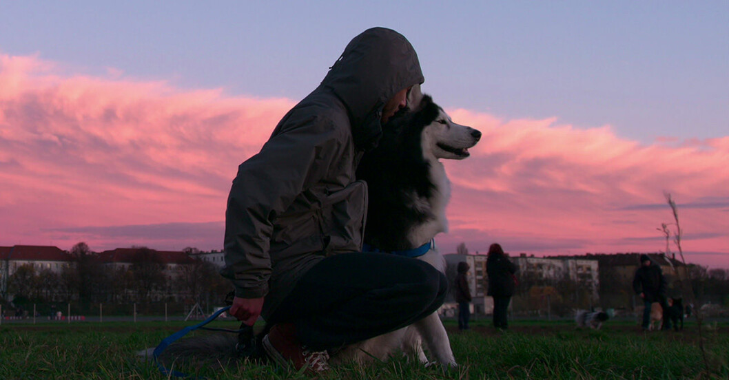 Dokumentärserien Dogs på Netflix är det finaste vi sett