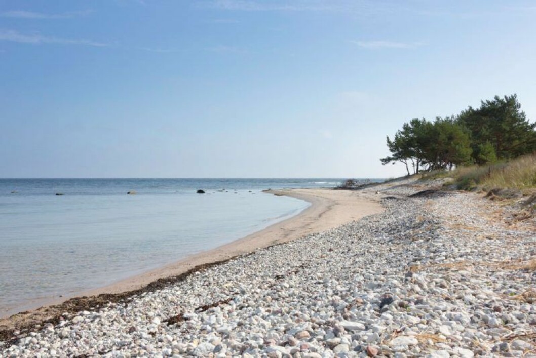 Stranden Norsta Aurar på Fårö.