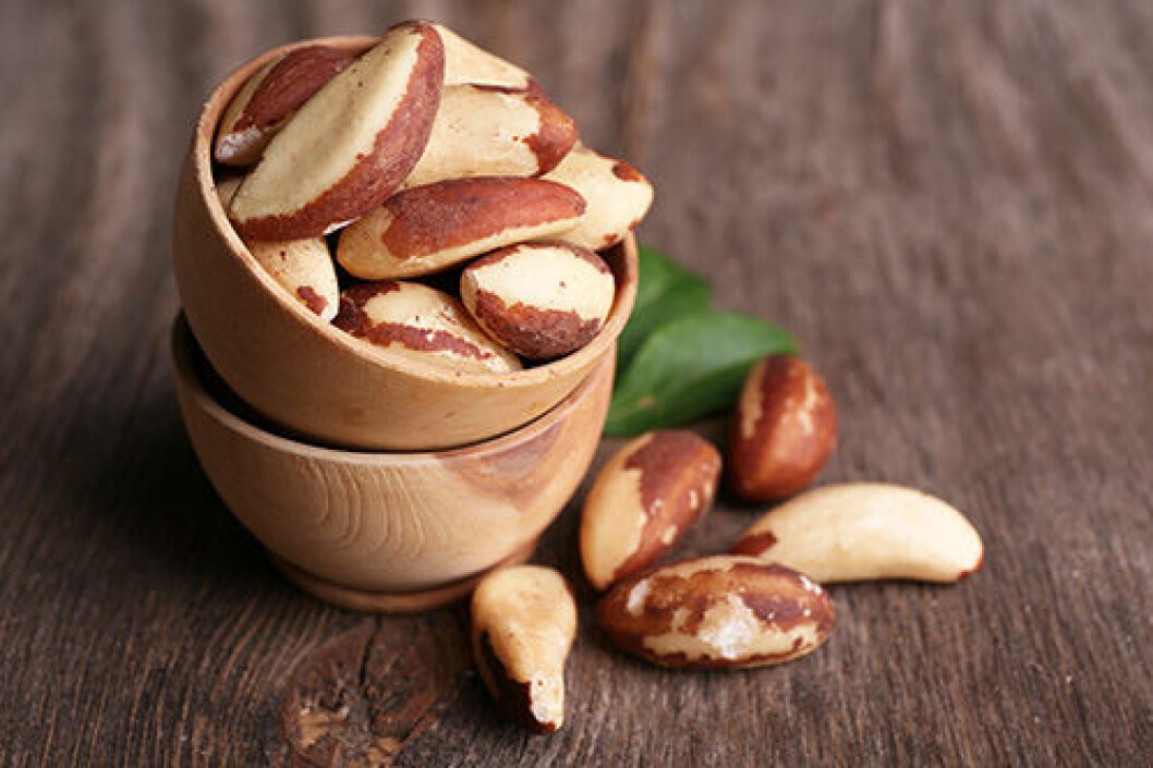 En bild på paranötter i en skål. 